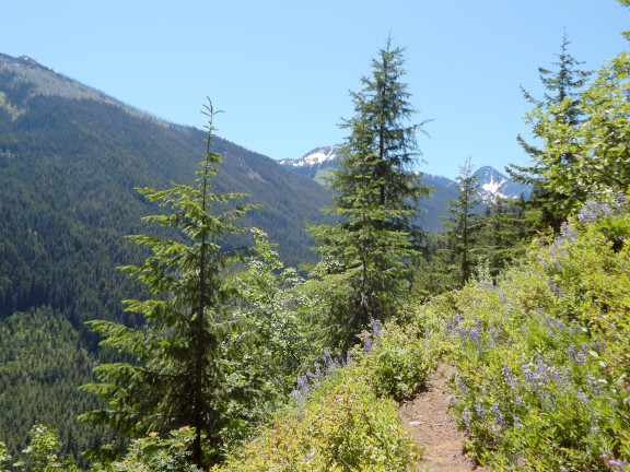 Trout Lake Trail